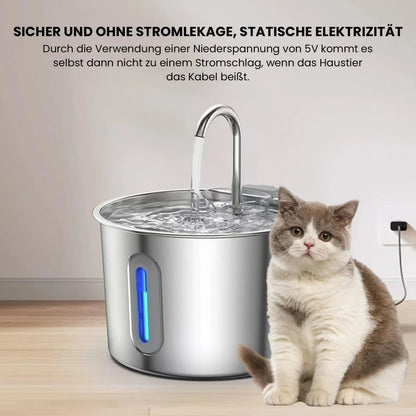 Stainless Steel Pet Water Fountain with Filter for Cats & Dogs